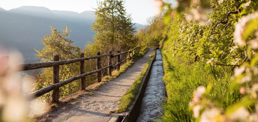 wandern-marlinger-waalweg-tg-naturns-idm-patrick-schwienbacher-1
